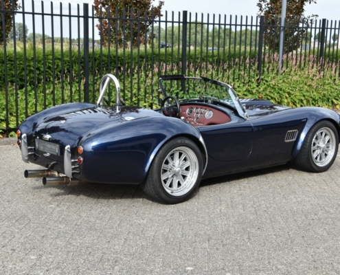 Img048ac Cobra