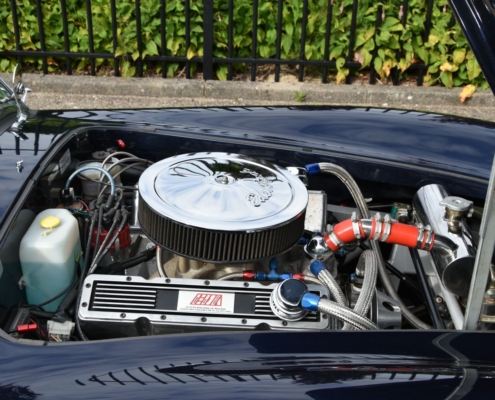 Img059ac Cobra