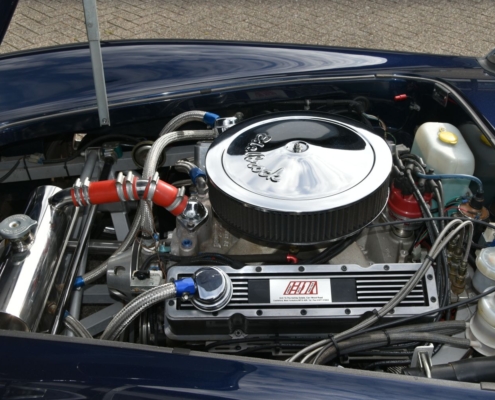 Img060ac Cobra